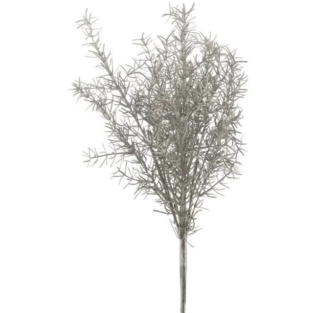 Buitengewoon Boet Buitengewoon de boet - Sprengeri bush champagne 47 cm kunsttak onbekend