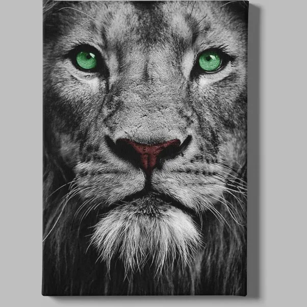 Trendex Global Canvas Schilderij - Wilde Dieren - Leeuw - Grijs - 120x80 cm