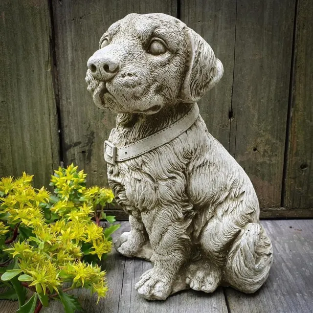 Sparta Retriever puppy - tuinbeeld - labrador - hond - golden retriever Grijs