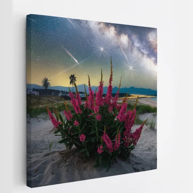 Saammp Canvas Schilderij - Vallende Ster - Natuur - Landschap - 30x30 - Foto op canvas - Wanddecoratie - Muurdecoratie Woonkamer - Slaapkamer decoratie - Canvas Print Multicolor