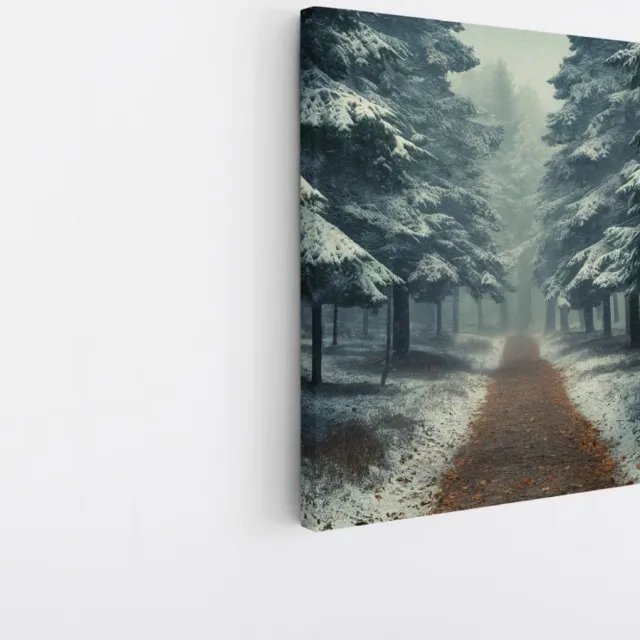 Saammp Canvas Schilderij - Landschap - Bomen tijdens de winter - Natuur - 30x30 - Foto op canvas - Wanddecoratie - Muurdecoratie Woonkamer - Slaapkamer decoratie - Canvas Print Multicolor