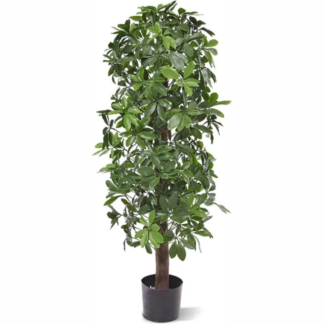 maxifleur Kunstplanten Schefflera kolom kunstboom 120cm - UV bestendig Groen