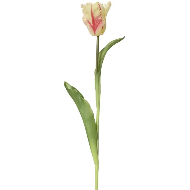 Kaemingk Everlands Papegaaitulp Crème & Rood Ø 6 cm 51 cm - Kunstbloemen Creme