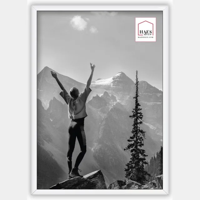 HAES deco Kunststof fotolijst A4 / 21x29,7 wit Easy Frame - EF11W