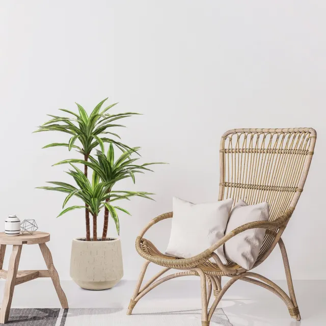 maxifleur Kunstplanten Draceana Massangeana kunstplant Deluxe 95cm Groen