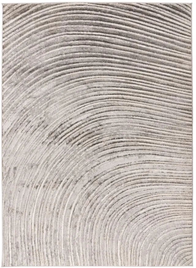 Dutch XXL Laagpolig Vloerkleed | Tapijt | Sedef | Bogen | Zilver/Beige | 200x290 cm Zilver / Beige
