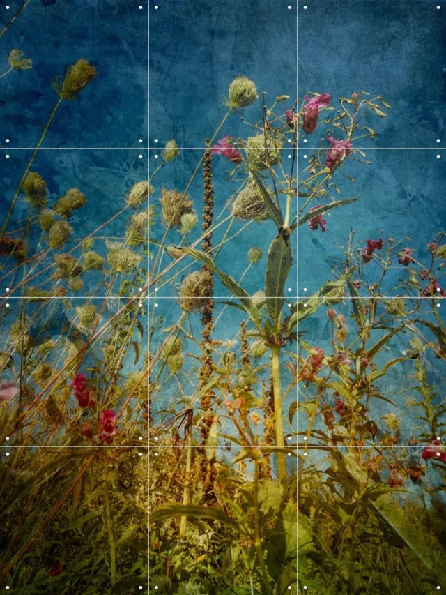 IXXI Heat Flowers, Angelo Cerantola - 60 x 80 cm - Grote wanddecoratie en posters - Vintage, Kleurrijk, Naturalisme, Fotografie, Slaapkamer Blauw / Roze / Groen / Geel