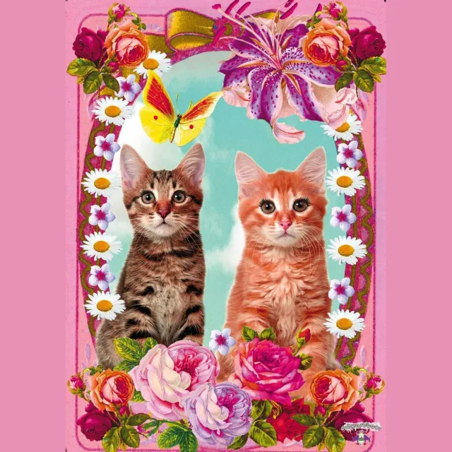 Kunstboer Poster Cats Poezen poster Roze