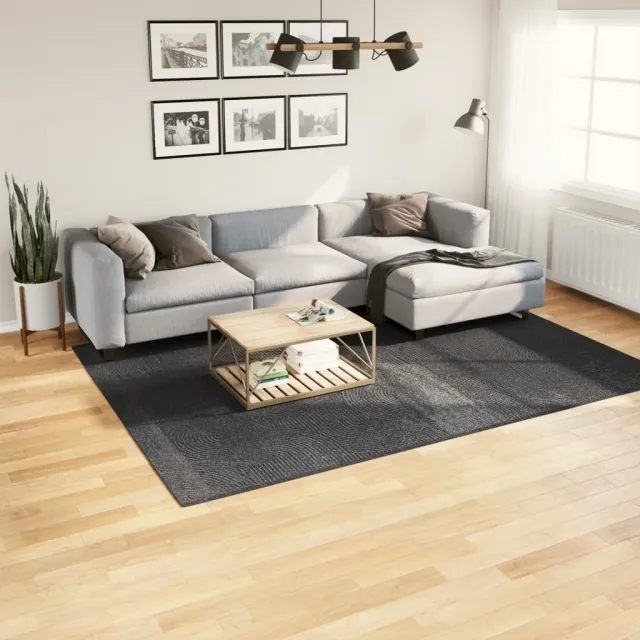 vidaXL Vloerkleed IZA laagpolig Scandinavisch 200x280 cm antraciet, foto 2