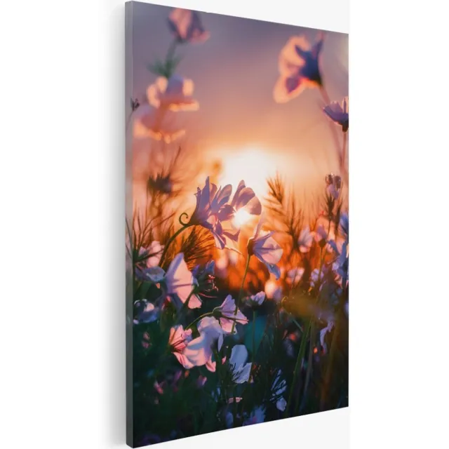 Saammp Canvas Schilderij - Landschap - Bloemen met zonsondergang - Natuur - 100x150 - Foto op canvas - Wanddecoratie - Muurdecoratie Woonkamer - Slaapkamer decoratie - Canvas Print Multicolor