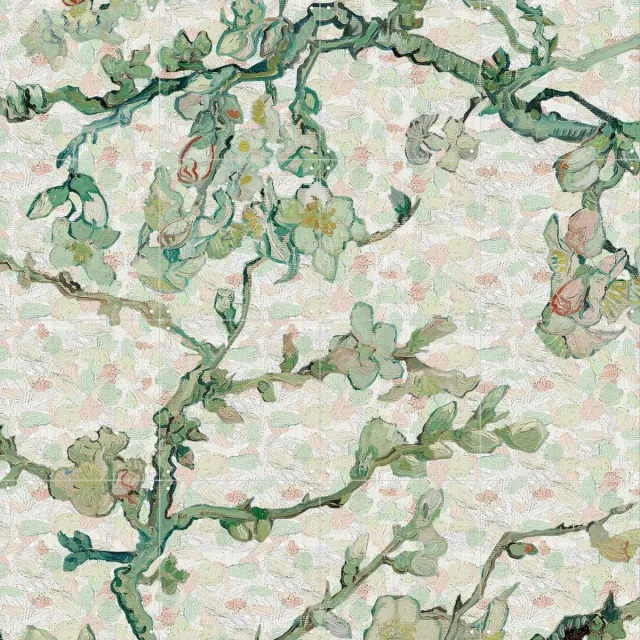 IXXI Amandelbloesem Spots, Vincent van Gogh (1853 - 1890) & Van Gogh Museum - 80 x 80 cm - Grote wanddecoratie en posters - Fantasierijk Roze / Wit / Groen