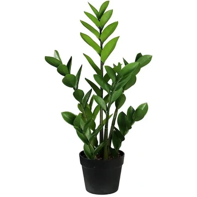 Buitengewoon Boet Zamioculcas 75 cm kunstplant Buitengewoon de Boet groen