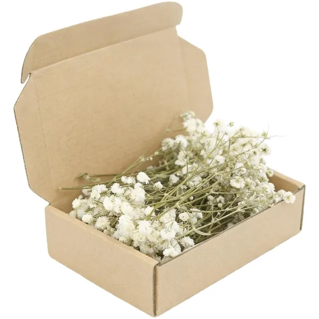 Famanu Witte gedroogde gipskruid bloemen set van 150 stuks voor decoratie en knutselen