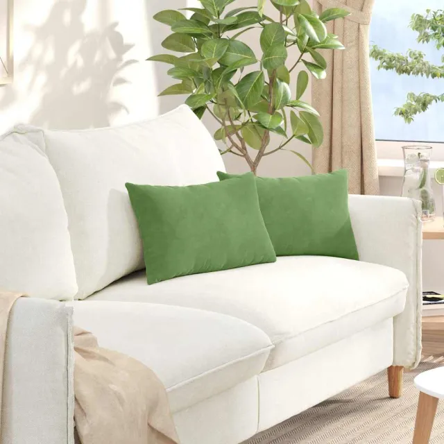 vidaXL Sofa Kussens 2 st fluweel Lichtgroen 50 x 30 cm