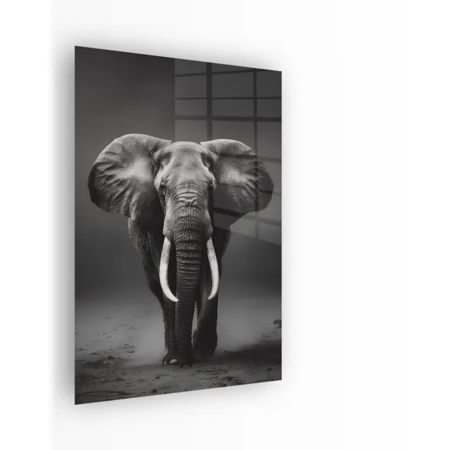 Indoorart Glasschilderij Majestueuze Olifant 40x60 CM - Afbeelding op plexiglas - Inclusief montagemateriaal zwart, wit