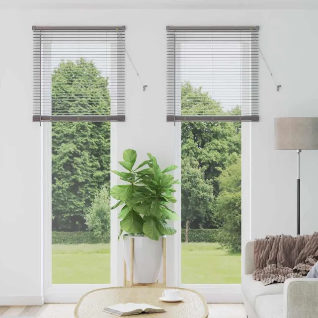 vidaXL Venetiaanse jaloezie zilver 220 x 70 cm 25 mm Aluminium