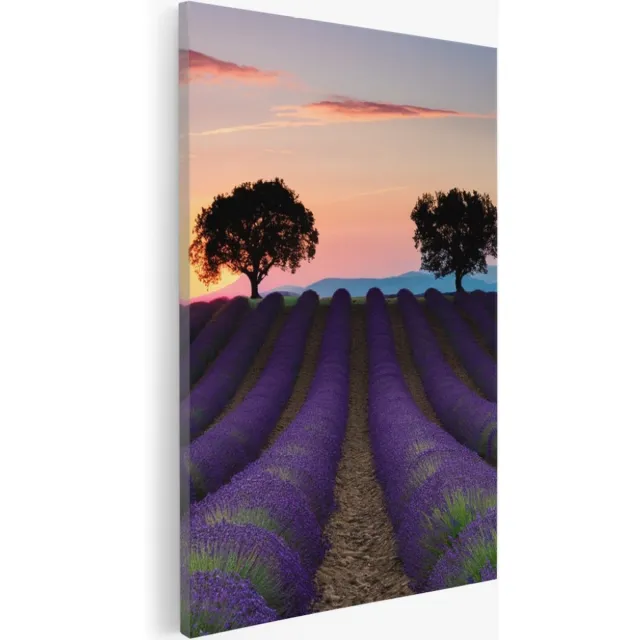 Saammp Canvas Schilderij - Kleurrijk Lavendelveld met bomen - Natuur - Landschap - 40x60 - Foto op canvas - Wanddecoratie - Muurdecoratie Woonkamer - Slaapkamer decoratie - Canvas Print Multicolor