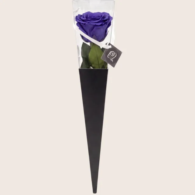 RoseAmor Longlife Roos met Steel 30 cm – Echte Houdbare Roos – Paarsblauw – In Cadeauverpakking