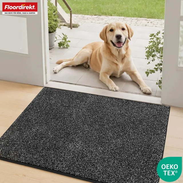 Floordirekt Schoonloopmat Nasa - Zachte & Waterabsorberende Deurmat - Antraciet 80 x 120 cm - Voor Binnen & Buiten - Antislip Onderzijde - Verkrijgbaar in 5 Kleuren & 8 Maten