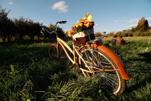 Vgdesign Fiets met bloemenmand 70x50 tuinposter banner VGDesign onbekend