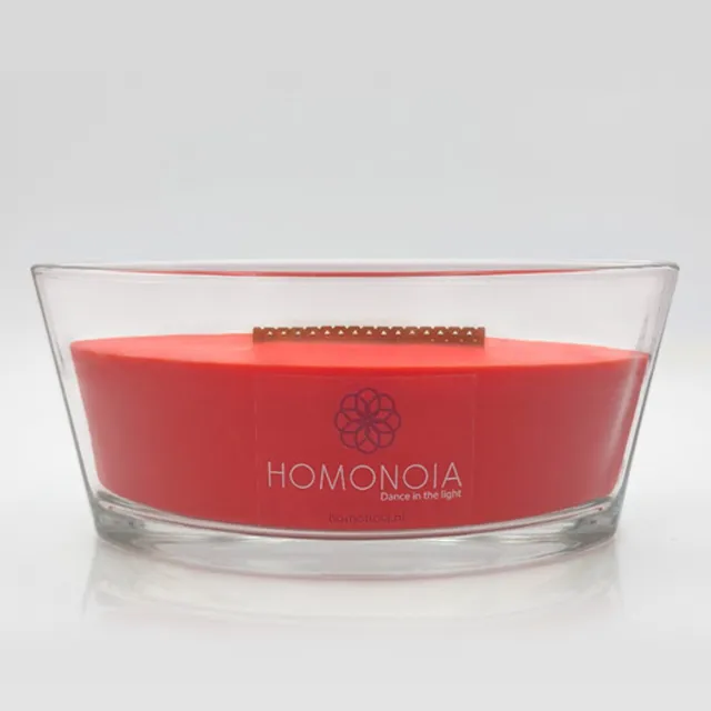 Homonoia Geurkaars Kaneel met Houten Lont – Knisperende Kaars – 460 g – 60+ Branduren - Homonoia