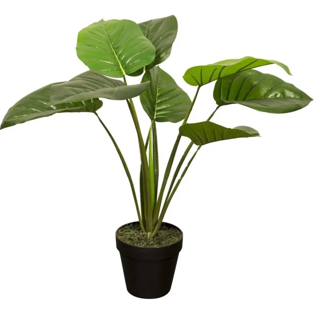 Noach outdoor Kunstplant Philodendron met pot - h60cm Groen