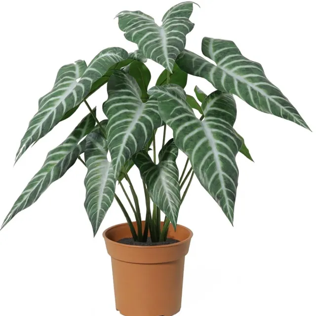 Florafy Kunstplant Alocasia Polly 49cm - Kunstplanten voor binnen - Onderhoudsvrij groen