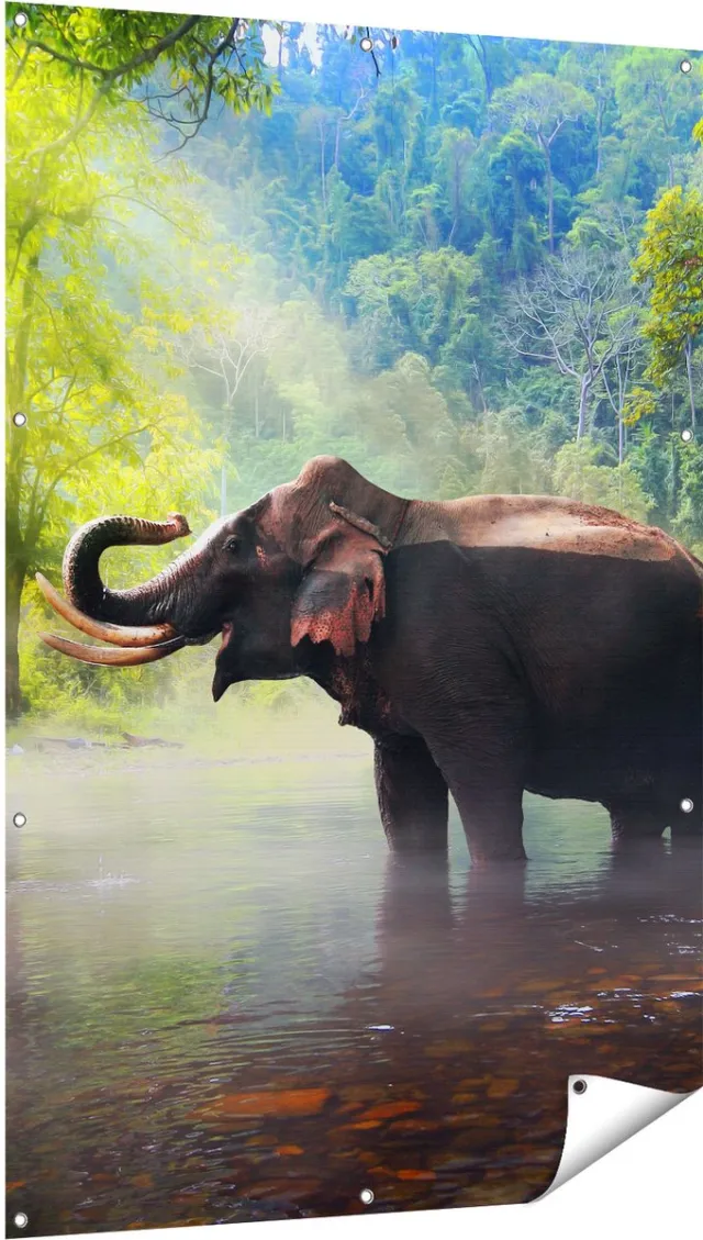 Gards Tuinposter Olifant in het Water - 100x150 cm - Tuindoek - Tuindecoratie - Wanddecoratie buiten - Tuinschilderij Multikleur