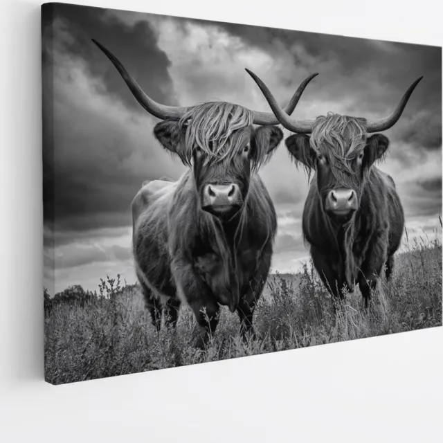 Saammp Canvas Schilderij - 2 Schotse Hooglander Koeien in een storm - Natuur - Dieren - 100x75 - Foto op canvas - Wanddecoratie - Muurdecoratie Woonkamer - Slaapkamer decoratie - Canvas Print Multicolor