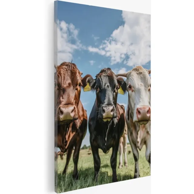 Saammp Canvas Schilderij - 3 koeien in de wei - Dieren - Natuur - 50x70 - Foto op canvas - Wanddecoratie - Muurdecoratie Woonkamer - Slaapkamer decoratie - Canvas Print Multicolor
