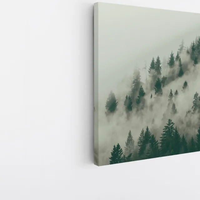 Saammp Canvas Schilderij - Mist tussen de bomen - Landschap - Natuur - 20x20 - Foto op canvas - Wanddecoratie - Muurdecoratie Woonkamer - Slaapkamer decoratie - Canvas Print Multicolor