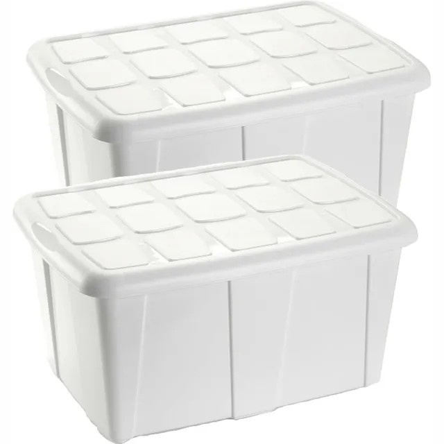 PLASTICFORTE Opbergbox met deksel - 2x - Wit - 60L - kunststof - 63 x 46 x 32 cm