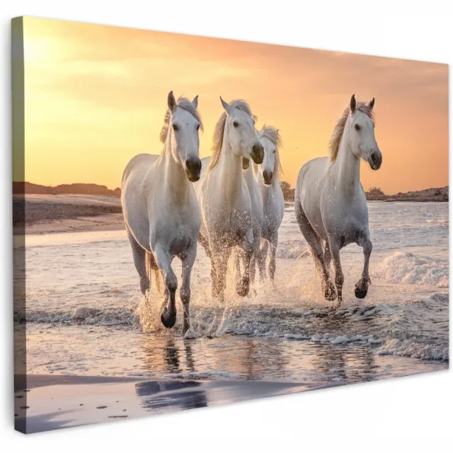 Unyqoos Unieke wanddecoratie met paarden en zee voor woonkamer of slaapkamer geel