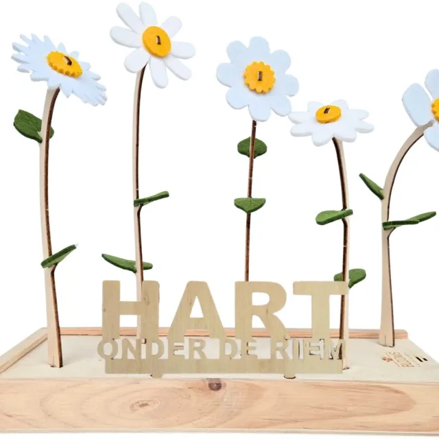 Blooms out of the Box Happy Blooms vilten bloemen – Hart onder de riem cadeau - brievenbus cadeau Wit