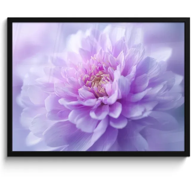 FrameYourWall Poster in lijst - Fotolijst 70x50 cm - Posters - Paars - Dahlia - Dromerig - Posterlijst zwart - Decoratie - Wanddecoratie woonkamer - Muurdecoratie slaapkamer