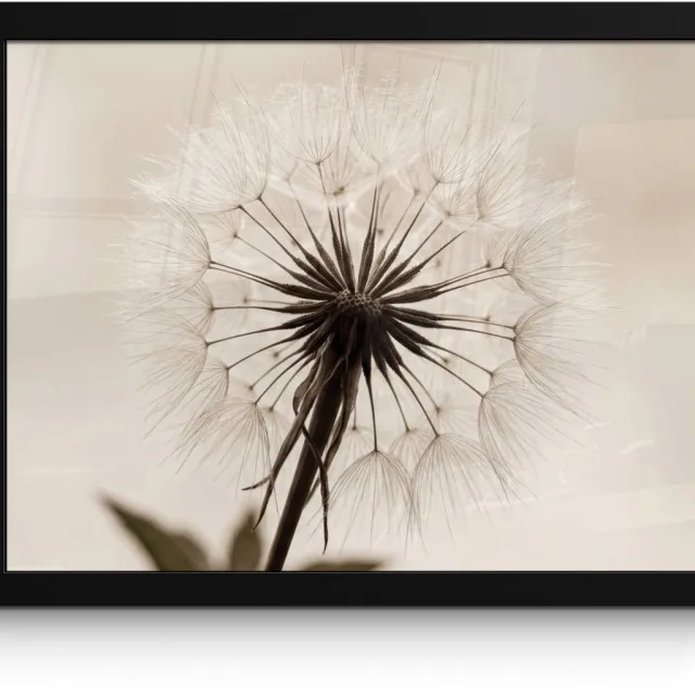 FrameYourWall Poster in lijst - Fotolijst 40x30 cm - Posters - Paardenbloem - Minimalistisch - Wit - Posterlijst zwart - Decoratie - Wanddecoratie woonkamer - Muurdecoratie slaapkamer