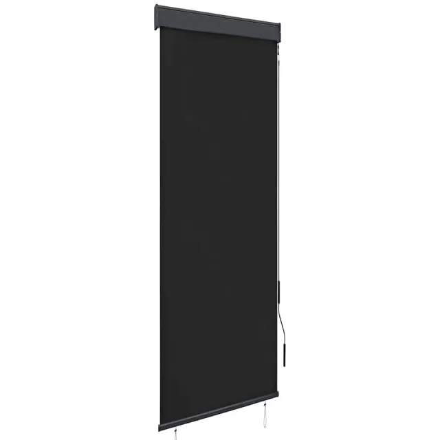 vidaXL Rolgordijn voor buiten 60x250 cm antraciet Anthraciet