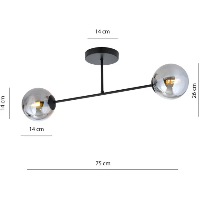 Euluna plafondlamp - 2lichts - Staal, glas - H: 26 cm - E14 - zwart, grafiet