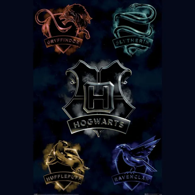 Harry Potter Houses Unisex Poster - meerkleurig - Standard multicolor