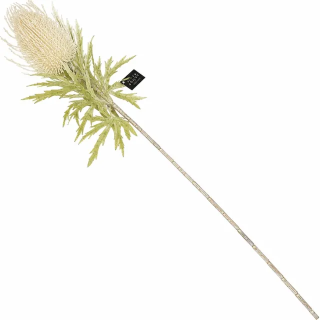 homebound by ky Kunstbloem banksia 69cm creme Beige