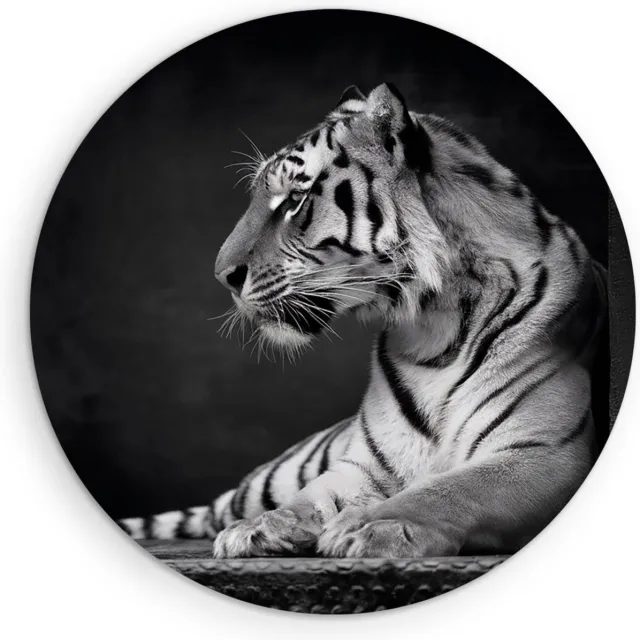 Saammp Forex Muurcirkel - Tijger - Natuur - Dieren - Zwart-Wit - Ø 80 - Wandcirkel - Wanddecoratie Cirkel - muurdecoratie Woonkamer - Slaapkamer decoratie - Rond Schilderij