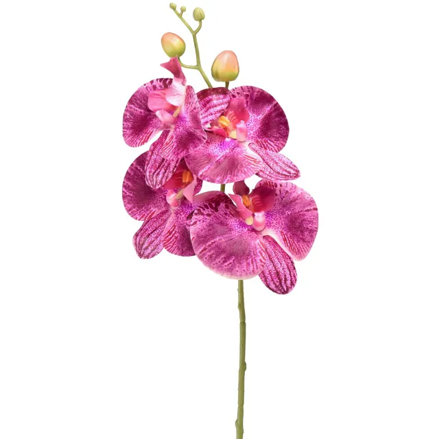 DPI GmbH Orchidee gevlamde Phalaenopsis kunstpaars 72cm
