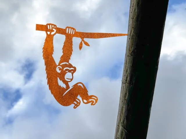 Steelhouet Chimpansee aan tak Tuindecoratie – Metaal Silhouet voor Boom of Schutting – Cortenstaal – Cadeau voor Tuinliefhebber – Lokale Productie - Boomprikker - Steelhouet