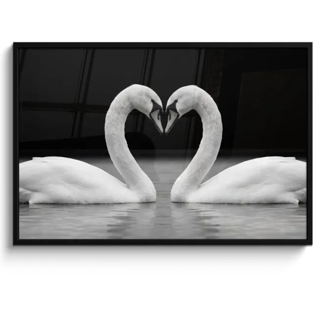 FrameYourWall Poster in lijst - Fotolijst 120x80 cm - Posters - Zwanen - Hart - Zwart - Wit - Posterlijst zwart - Decoratie - Wanddecoratie woonkamer - Muurdecoratie slaapkamer