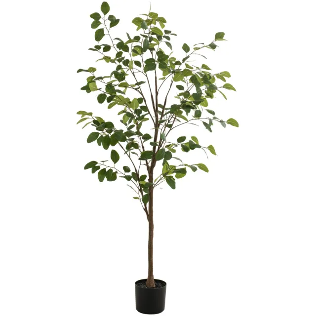 Fleurdirect Kunstplant Eucalyptus - Realistisch & Onderhoudsvrij - 170 cm hoog Groen