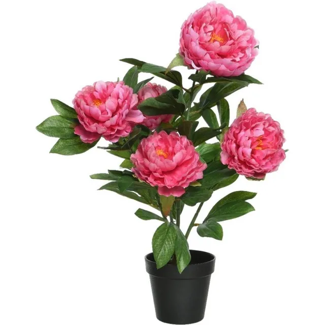 Bellatio Flowers & Plants Roze Paeonia/pioenroos - rozenstruik - kunstplant - 57 cm in zwarte plastic pot - Kunstplanten/nepplanten - Pioenrozen