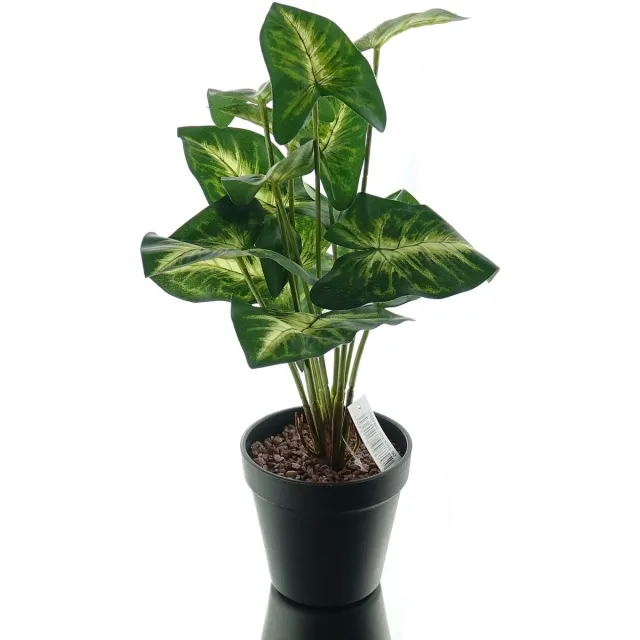 Gasper Dieffenbachia Picta Groen en Wit Kunststofpot - Kunstplant