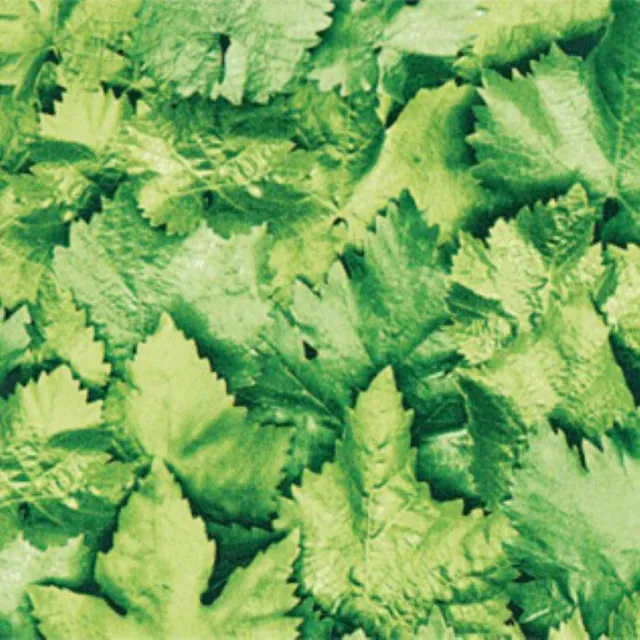 Gekkofix Plakfolie - Kleeffolie - Bladeren - 45cm x 300cm Groen