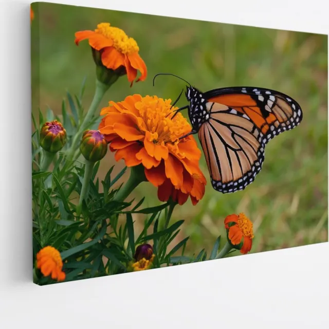 Saammp Canvas Schilderij - Vlinder - Oranje Bloemen - Dieren - Natuur - 120x80 - Foto op canvas - Wanddecoratie - muurdecoratie Woonkamer - Slaapkamer decoratie - Canvas Print Multicolor