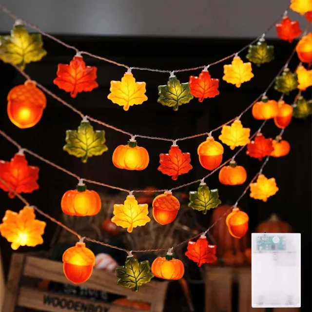 Namajunas Herfst decoratie slingerlampjes - Lichtsnoer buiten en Binnen - Tuinverlichting - 3M 20 LED herfstlichtslinger - Pompoen, esdoornbladeren, dennenappel - Sfeerverlichting voor tafeldecoratie, Halloween, oogstfeest en kerstdecoratie